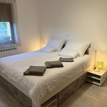 Apartma Anze Samec Dobravlje Buitenkant foto