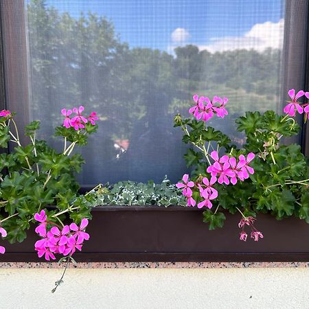 Apartma Anze Samec Dobravlje Buitenkant foto