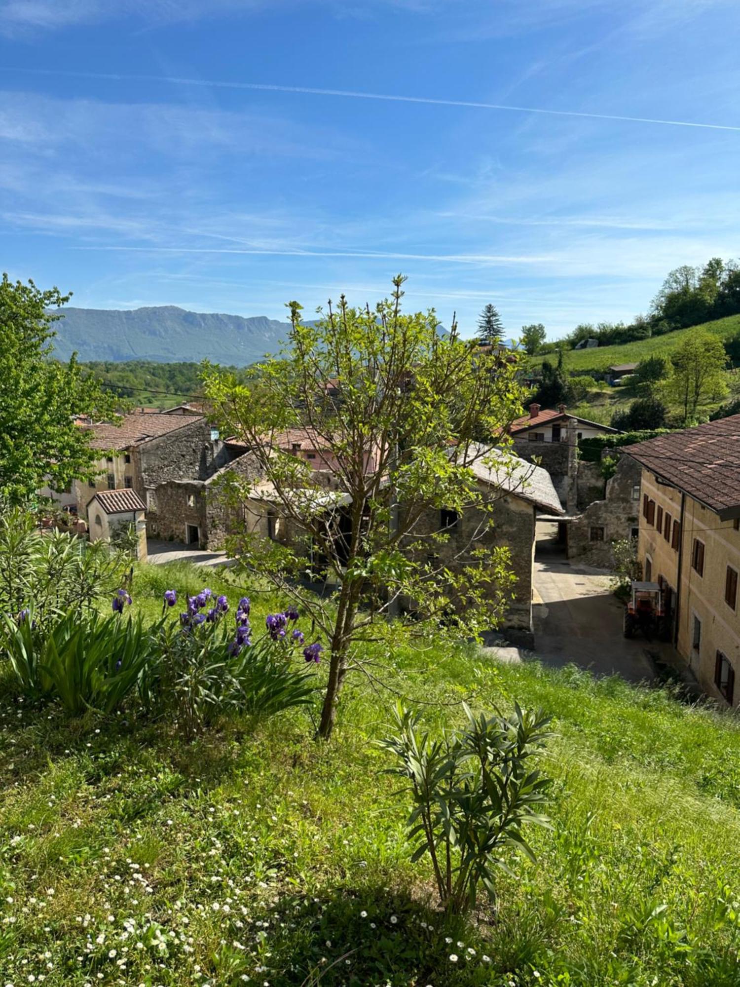 Apartma Anze Samec Dobravlje Buitenkant foto