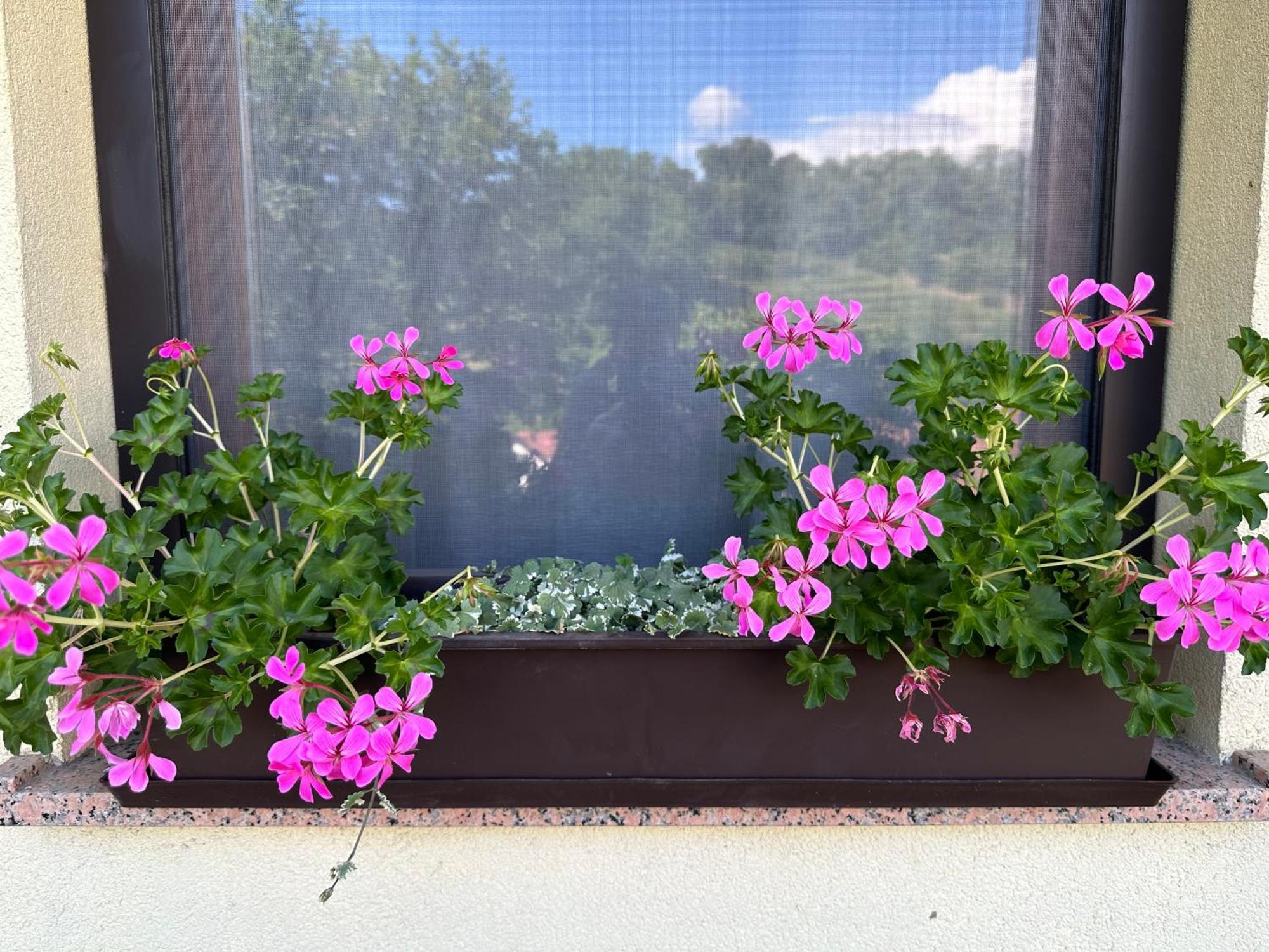 Apartma Anze Samec Dobravlje Buitenkant foto